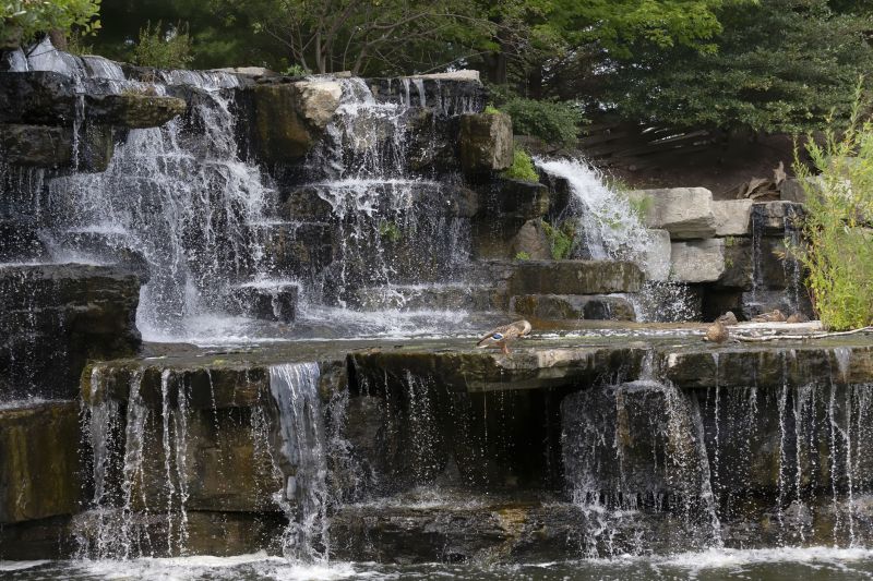 Garden Waterfall Installation in Honolulu, HI