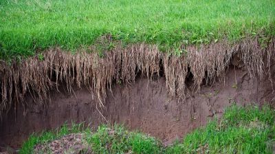 Reduce Soil Erosion