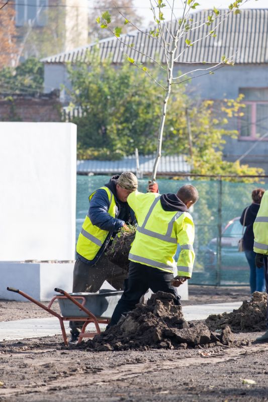 Local Tree Planting Service pros at work